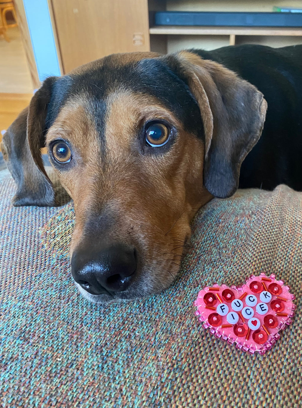 Select Pin(s) - F*** ICE